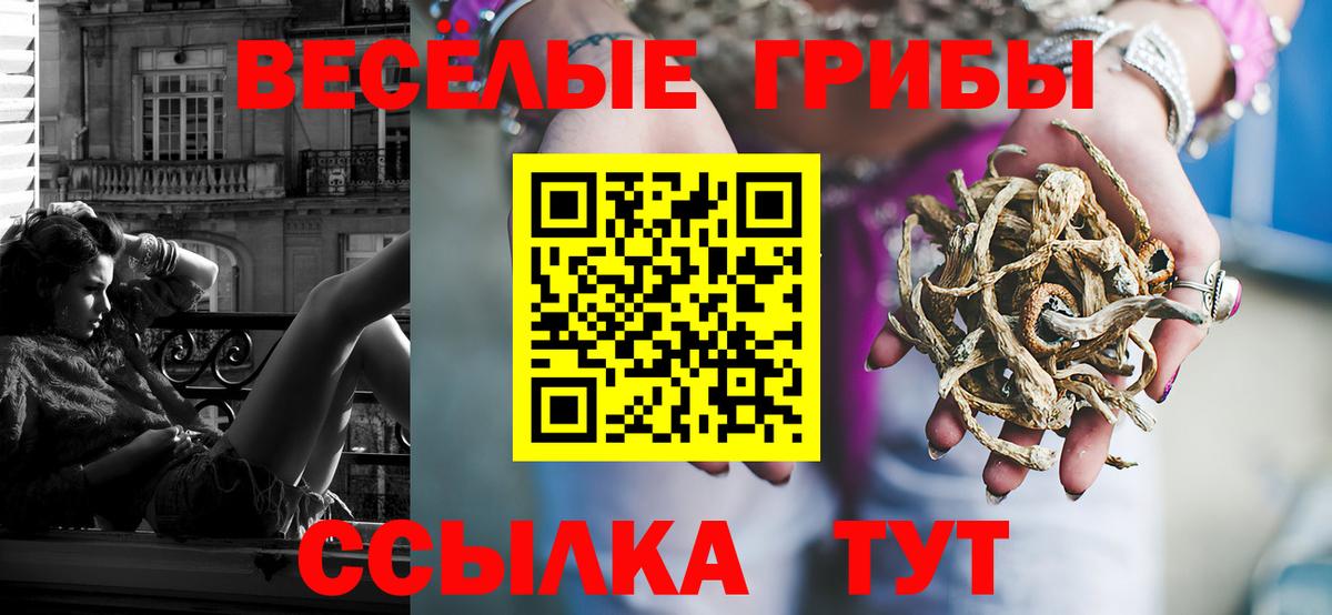 Псилоцибиновые грибы мухоморы  Вход с VPN  Кузнецк 